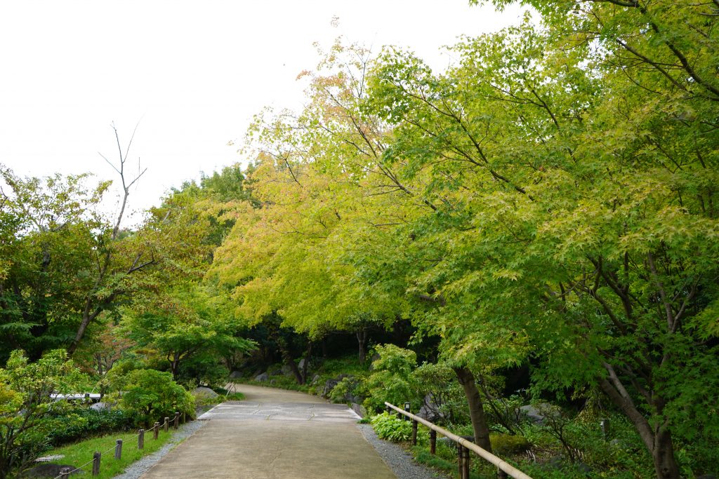 日本庭園入り口